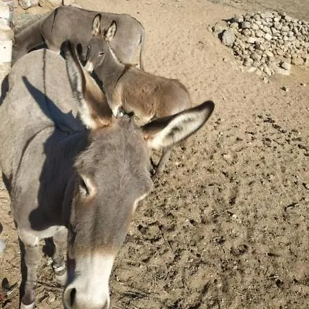 Terra Nova * Mykonos Town